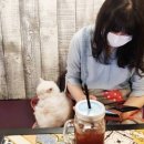 니즈호텔 이미지