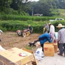 보개면사무소 이미지