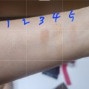 671 | 디올쇼 5 꿀뢰르 까나쥬 리미티드 에디션 671 내돈내산 후기 | 웜톤 자연 음영 섀도우 발색 비