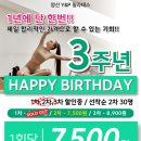 와이앤피 이미지