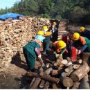 곡성군 산림과 이미지