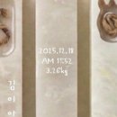 베이빗