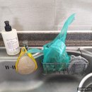 초파리 없애는 법과 관리 꿀팁｜유한양행 해피홈 제로 초파리 스프레이 내돈내산 솔직후기