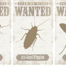 팅커벨 - 영등포구 | 팅커벨