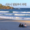 (주)성지인터내셔날 | 시드니일일투어 본다이비치 왓슨스베이 시드니대학교 투어로 한번에