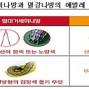 밤나무축산 이미지