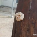 기북시장 이미지