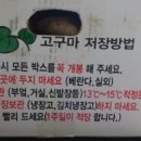 조운농장 이미지