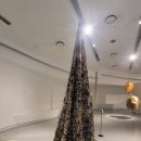 유한프라자 | 2월전시회 동대문 DDP 전시 동대문디자인플라자 후기 서울무료전시 설치미술 서울전시추천