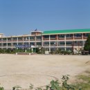 정교초등학교 이미지