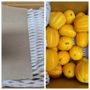 택양농장 이미지