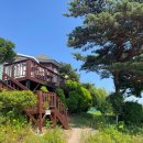 서산소나무힐링 이미지