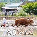 사암2리 국제뉴스