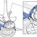 수원 스카이 동물메디컬센터 이미지