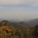 대관령 Daum카페