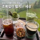 보성녹차(목포)휴게소화장실 | 보성 녹차밭 카페 추천 초록잎이 펼치는 세상 아이스크림 후기