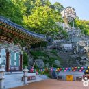 그린장앞골5교 | [경상북도 경주시] 골굴사(경주)