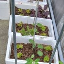 대천해수욕장펜션 이미지