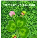 🍀오늘의 행운, 당신께 드립니다🍀 이미지