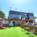 더봄애견 이미지