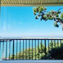 카페몰로 이미지