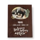 나무와간판 이미지