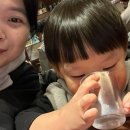 강고집 순두부 네이버블로그