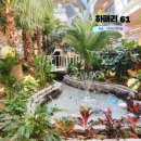 선하목장 | 양주 동두천 대형 베이커리카페 하패리61 식물원분위기의 포토존많은곳