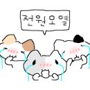 청춘사운드콘서트 이미지