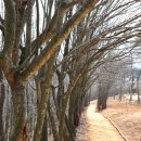 추사 유배길 - 3코스 사색의 길 | 정약용의 남도 유배길 1구간 - 다산초당에서 영량 생가까지