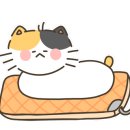 바글바글민물횟집