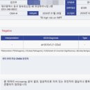 결실 | 8번 염색체 미세결실 극복기(대구 김건우 양수검사 미세결실검사 후기)