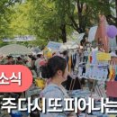문화의 거리 네이버블로그