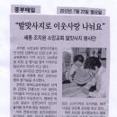 조치원교회 이미지