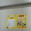 새홍익유치원 | 2026 비룡소 X 어스본 코리아 패밀리데이 후기 ! 가격공개 파주출판단지 정보 !