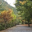 주천면-19 (주천둔치화장실) | 다섯번째 캠핑 ㅣ 계곡있고 숙박 가능한 영월 별마로 캠핑장