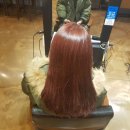 단골헤어 이미지