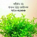 시흥시정왕종합사회복지관 | 사회복지사,실버노래강사민주 ,경기도 시흥시 정왕종합사회복지관에 제외동포(외국인)어르신들 노래와...