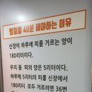 이엔아이지해독센터