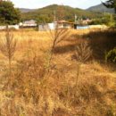 초부4리 이미지