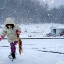 언덕위하얀어린이집 이미지