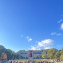상상투어 - 북구 신촌로23번길 37 | 상상투어