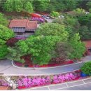 수레의산자연휴양림 이미지