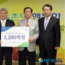 남양농협뒤 이미지
