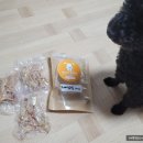 와다다펫푸드 이미지