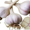 명인한약국 이미지