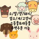 마리온누리약국 이미지