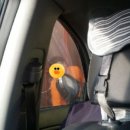 대통주유소 이미지