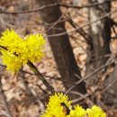 바다가 좋아 이미지