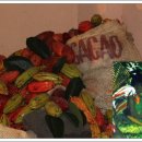 초콜릿 박물관 이미지